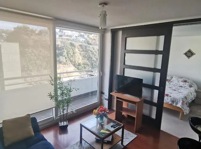 Departamento Central Vina Del Mar